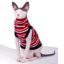 That is photo number six squillion. Sphynx Cat Shirts Chrissie Sphynx Cat Wear
