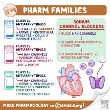 Image result for Sodium Channel Blocker