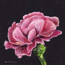 Pink Carnation Acrylic Painting Flowers Flower Painting Pink Carnations