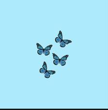 We did not find results for: Blue Butterfly Aesthetic Wallpaper