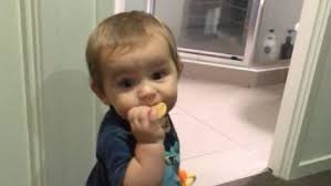 Step father charged with murder of Burpengary toddler has case adjourned  until March