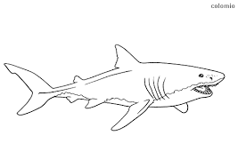 Scary shark coloring pages printable. Sharks Coloring Pages Free Printable Shark Coloring Sheets