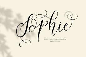 Use them sparingly so you don't overpower your designs, or break the rules and see in the article below, we have found 60 of the best free calligraphy fonts to download and use to bring charm to your designs. Sophie 516050 Script Font Bundles