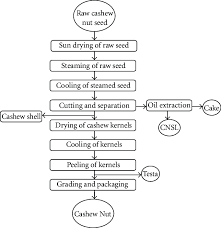 generalized process flow chart of small scale cashew