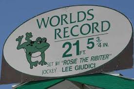 Hot body contest tequila frogs.mpg. Weird Events The Famous Frog Jumping Contest