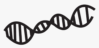 Sep 14, 2011 · when changing a picture from black to white, or white to black the hue rotate filter does not work, because black and white are not technically colors. Science Clipart Black And White Hd Png Download Kindpng