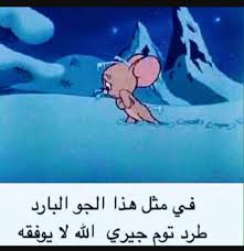 Pin By Fb1400 On صور طريفة Funny Comments Funny Jokes Funny