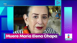 Muere María Elena Chapa, exsenadora y defensora de los derechos de las  mujeres