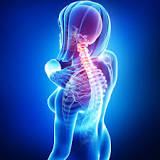 Image result for icd 10 code for pain thoracic spine