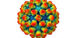 It is a common cause of vomiting and diarrhea . Detailed Visualization Of A Strain Of The Norovirus Tech Explorist