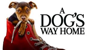 That's what a dog's journey means to me and that's why i'm giving it an extra credit grade. A Dog S Journey Netflix