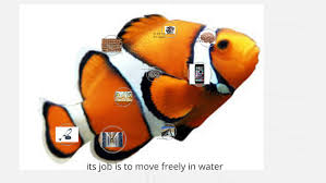 Image result for tbn:s7pUT62d1NifsM::qamarzaman.jeeran.com/%D8%AA%D8%AF%D9%85%D8%B1.jpg