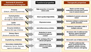 Image result for Macrotyloma maranguense