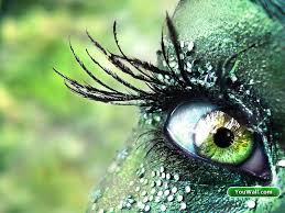 Reptil-Eye, up, wonderful, make, green, eye, HD wallpaper | Peakpx