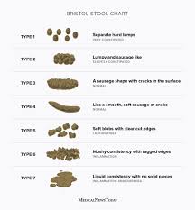 Image result for blood in stool human poop