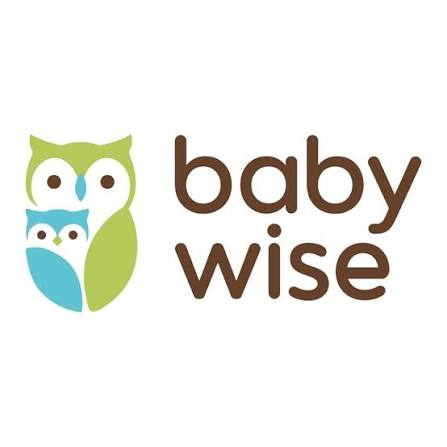 Store Supervisor Baby Wise Logo Perusahaan