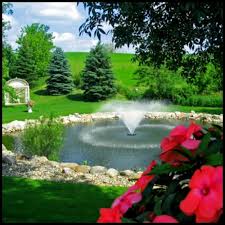 Maybe you would like to learn more about one of these? What Are The Benefits Of Having A Pond Fountain