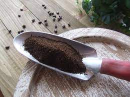 Compost containing just 5% coffee grounds can provide this protective effect. Using Coffee Grounds In The Garden Hgtv