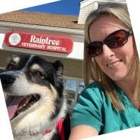 200+ "Stives" profiles