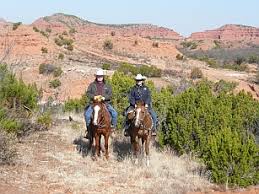 Maybe you would like to learn more about one of these? Horses Horseback Riding Equestrian Centers Boarding Trail Rides In Texas Tx Hill Country