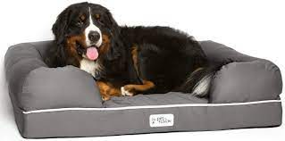 We did not find results for: Petfusion Ultimate Solid 4 Memory Foam Dog Bed For X Large Dogs 44x34x10 Orthopedic Sofa Couch Gray Replacement Covers Blankets Also Avail Amazon Co Uk Pet Supplies