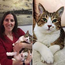 leyla patibiyografi kedi ikiz