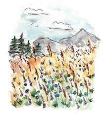 Supercoloring.com is a super fun for all ages: Peggy Dean S Guide To Nature Drawing And Watercolor Learn To Sketch Ink And Paint Flowers Plants Trees And A Nature Drawing Flower Painting Tree Sketches