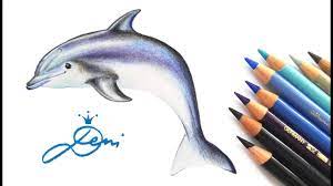 Delfin Zeichnen Lernen Mit Buntstiften How To Draw A Dolphin Kak Se Risuva Delfin Youtube