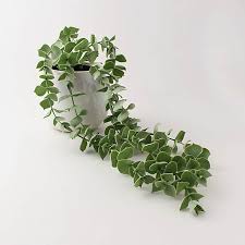 Eucalyptus plants are very easy to care for. Artificial Trailing Eucalyptus Green In Reactive Pot Dunelm