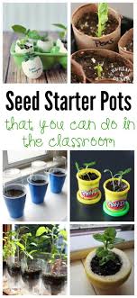 Biodegradable pots are a sustainable segment of container planting. Seed Starter Pots That You Can Do In The Classroom Planting For Kids Plants Kindergarten Gardening For Kids