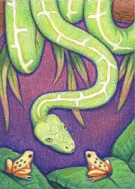 Emerald Tree Boa By Amy S Turner Emerald Tree Boa Teaching Art Drawings
