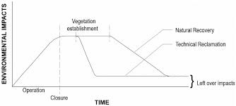Image result for Streptopetalum serratum