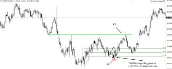 The fibonacci retracement tool plots percentage retracement lines based upon the mathematical relationship within the fibonacci sequence. How To Use The Fibonacci Retracement Tools Like The Pro Trader