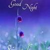 Cute goodnight text messages for her #1: Https Encrypted Tbn0 Gstatic Com Images Q Tbn And9gcrvvd7ermtyaac99md Djmr9iqpazgenkho9lctfh9rqy2kwktw Usqp Cau
