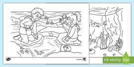 Pages and cover mostly intact. Free Coloring Sheets To Support Teaching On Brown Bear Brown Bear