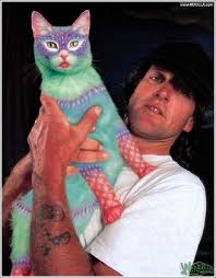 Warna yang paling umum yang menyerupai jenis kucing ethiopia, tetapi ada juga jenis kucing ini yang berwarna kayu manis atau warna biru atau warna kekuningan terang. Gambar Kucing Lawak 19 Gambar