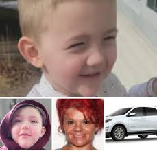 Silver Alert issued statewide for missing Barbara Halpin, 83, White,  Female, 5 ft 2 inches, 130 lbs., with brown eyes and white shoulder length  hair. Last seen wearing reading glasses and an