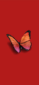 See more ideas about wallpaper, cute wallpapers, iphone wallpaper. Butterfly By Steph On Colors Iphone X Wallpapers Free Download