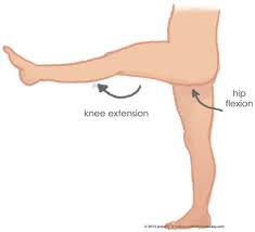 Pin On Anatomy