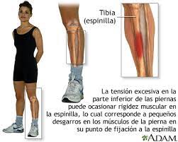 Dolor De Pierna