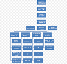 Organizational Chart Text Png Download 646 845 Free