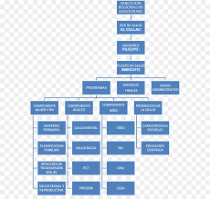 organizational chart text png download 646 845 free