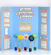 We did not find results for: Science Fair Projects Flowers Middle School 57 Ideas Science Fair Projects Elementary Science Fair Projects Science Fair Board