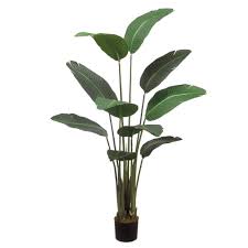 Potted Bird Of Paradise Plant Silk Plant Decor And More