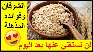 ماهو الشوفان تعريف الشوفان وفوائده للجسم Food Breakfast