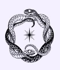 Mathias Cheney (cheney2779)