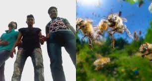 List of beninese rappers benin, africa. Watch A Swarm Of Bees Attack Three Indian Rappers While They Film Music Video Sick Chirpse