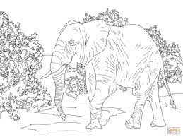 Supercoloring.com is a super fun for all ages: African Forest Elephant Walking Coloring Page Jpg Jpeg Image 1600 1200 Pixels Elephant Coloring Page Elephant Drawing Animal Coloring Pages