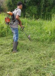 Namun kualitas land mower ini enggak kalah. Layanan Potong Rumput Termurah Di Medan Dan Sekitarnya Sb Flash Services