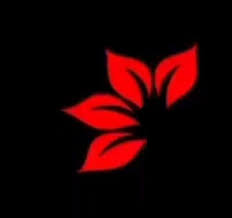 Alight Motion Trending Status Leaf Animated Love Images Love Images Animation